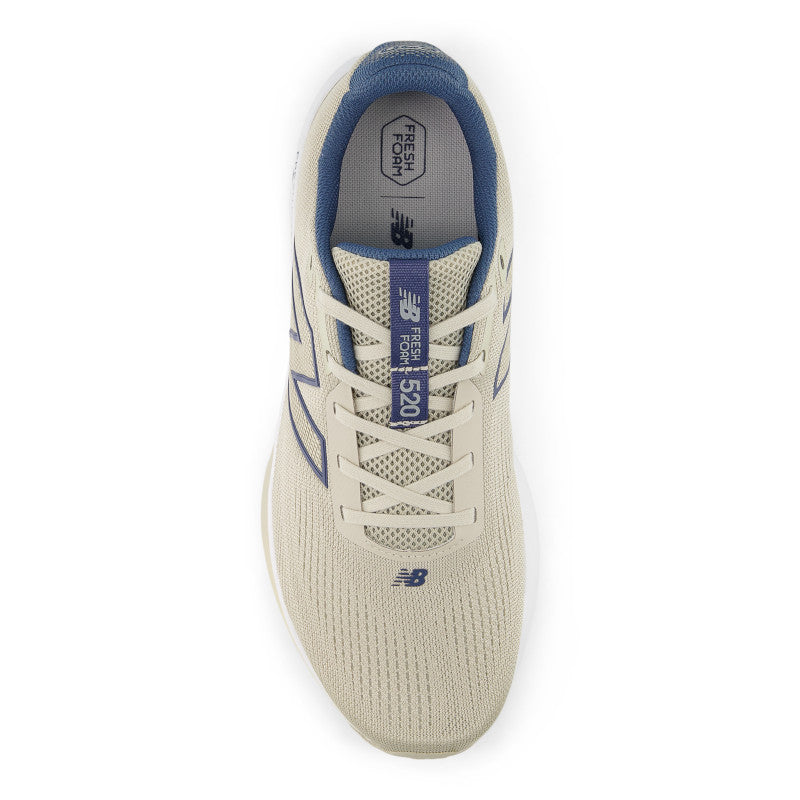 Men's Fresh Foam 520 V9